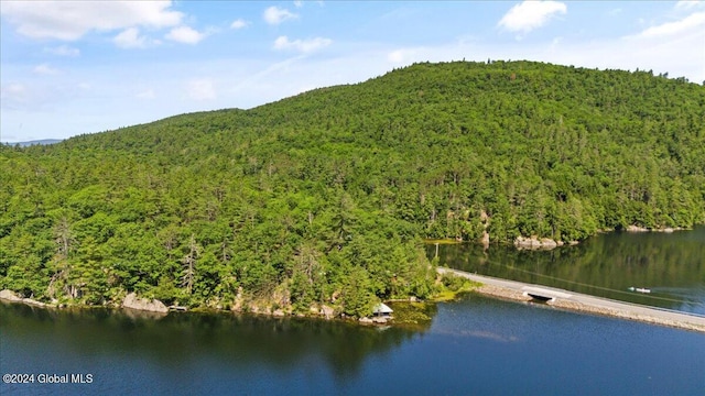 birds eye view of property with a water and mountain view and a wooded view
