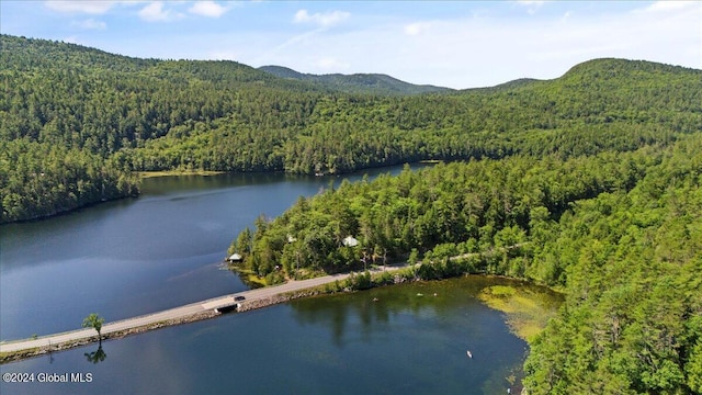 bird's eye view featuring a water and mountain view and a wooded view