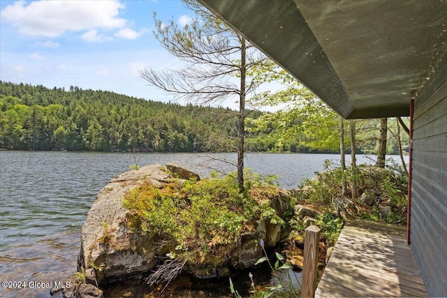 dock area featuring a water view and a forest view