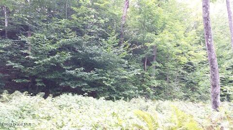 85 Summit Dr, Hague, NY 12836