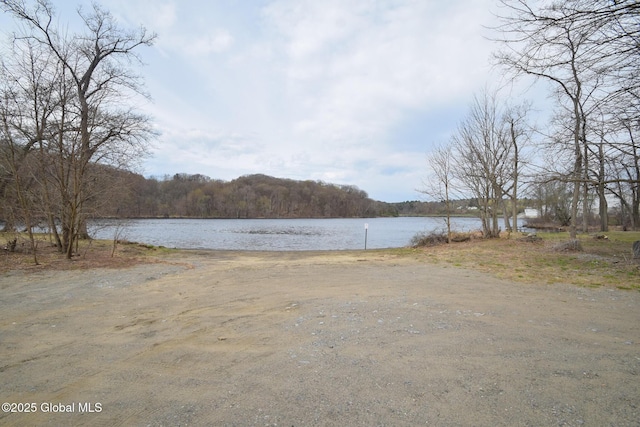 view of water feature featuring a view of trees