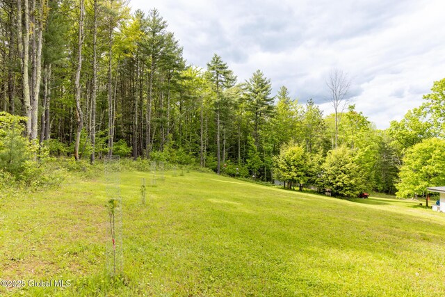 272 Meadowland Dr, Middleburgh, NY 12122 - photo 96