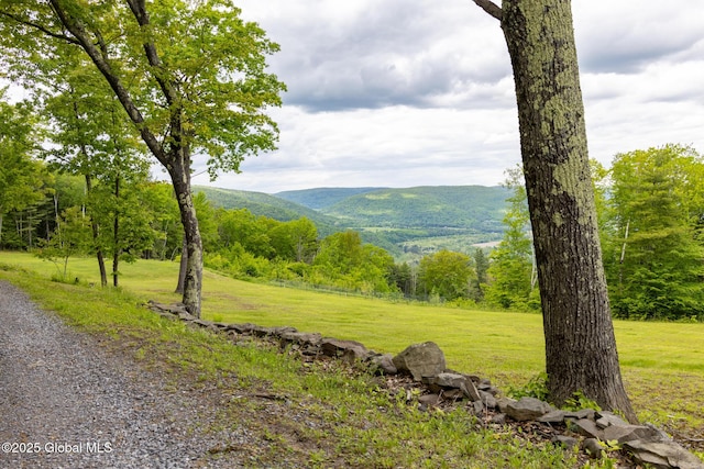 272 Meadowland Dr, Middleburgh, NY 12122 - photo 3