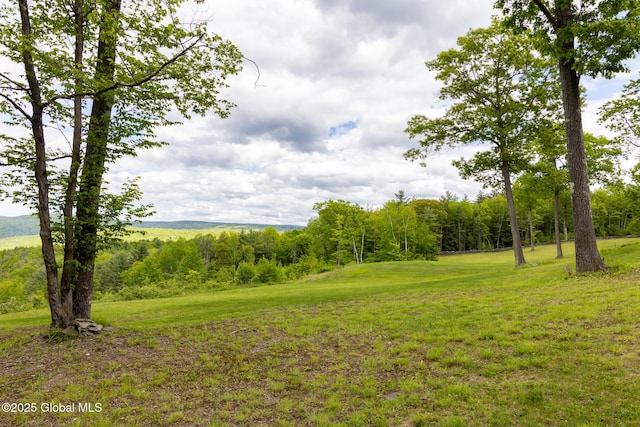 272 Meadowland Dr, Middleburgh, NY 12122 - photo 5