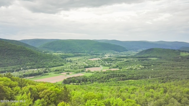 272 Meadowland Dr, Middleburgh, NY 12122 - photo 4