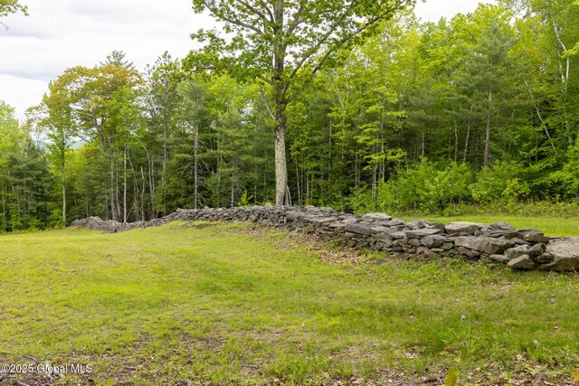 272 Meadowland Dr, Middleburgh, NY 12122 - photo 97