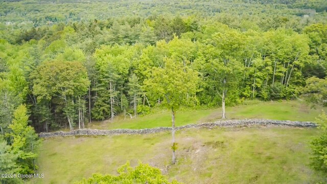 272 Meadowland Dr, Middleburgh, NY 12122 - photo 98