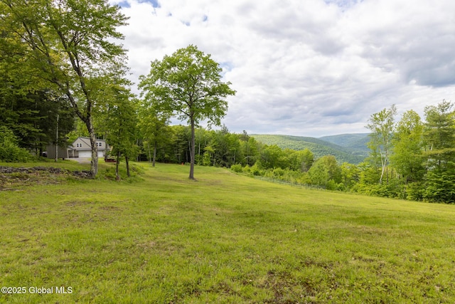 272 Meadowland Dr, Middleburgh, NY 12122 - photo 12