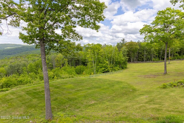 272 Meadowland Dr, Middleburgh, NY 12122 - photo 92