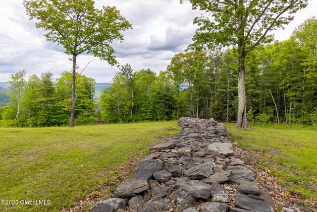 272 Meadowland Dr, Middleburgh, NY 12122 - photo 95