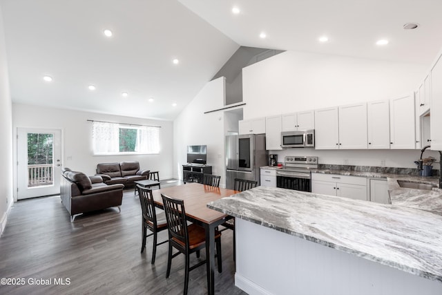 23 Locust Ridge Dr, Corinth, NY 12822 - kitchen featuring appliances with stainless steel finishes, a sink, a peninsula, light stone counters, and high vaulted ceiling