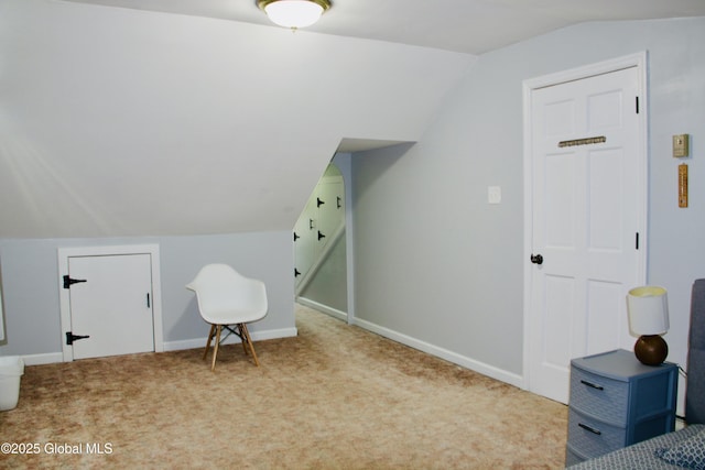 28 Puritan Dr, Rotterdam, NY 12306 - additional living space featuring carpet floors, baseboards, and vaulted ceiling