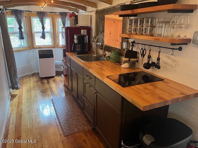 15-17 Pine Rd, Lake Luzerne, NY 12846 - kitchen featuring a sink, open shelves, dark wood-style flooring, and butcher block countertops
