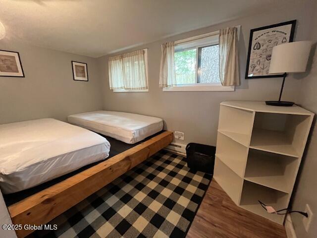 15-17 Pine Rd, Lake Luzerne, NY 12846 - bedroom with a baseboard radiator and wood finished floors