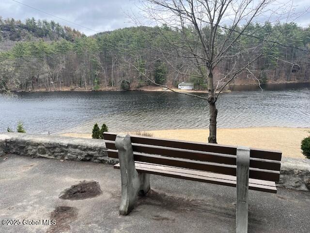 15-17 Pine Rd, Lake Luzerne, NY 12846 - water view with a forest view