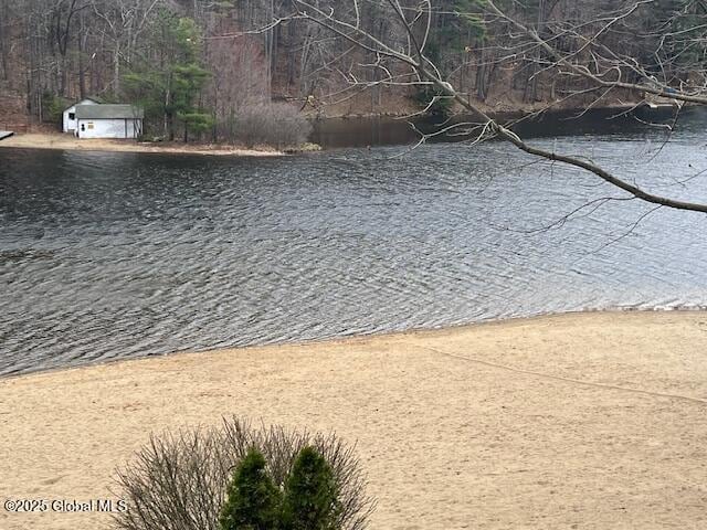 15-17 Pine Rd, Lake Luzerne, NY 12846 - water view