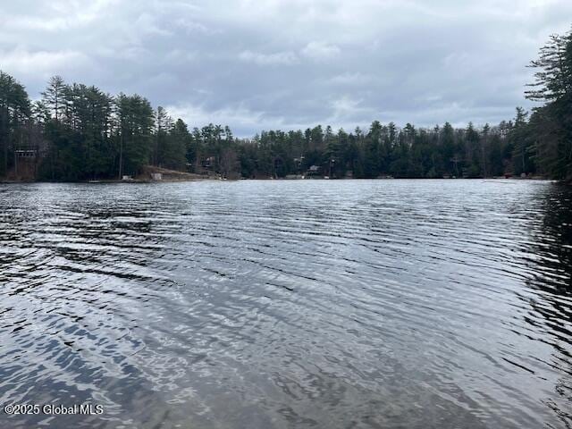 15-17 Pine Rd, Lake Luzerne, NY 12846 - water view featuring a forest view