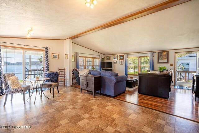 living area with stone finish flooring, a textured ceiling, lofted ceiling with beams, and plenty of natural light