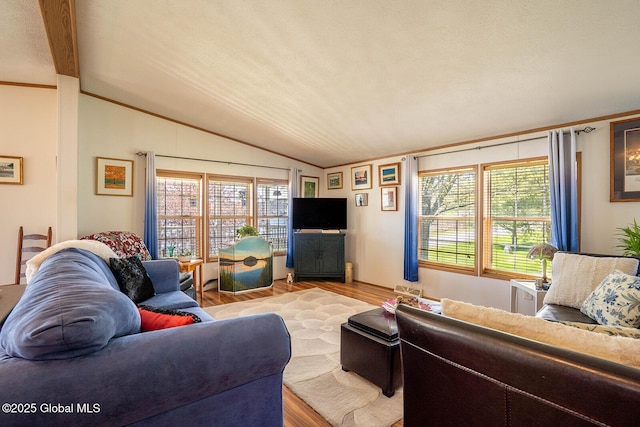 living area with wood finished floors and lofted ceiling