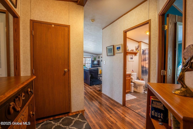 hall featuring a textured ceiling, dark wood finished floors, and lofted ceiling