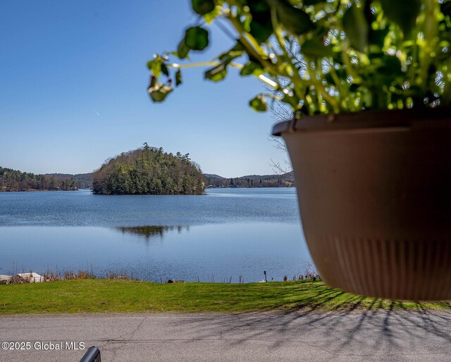 view of water feature