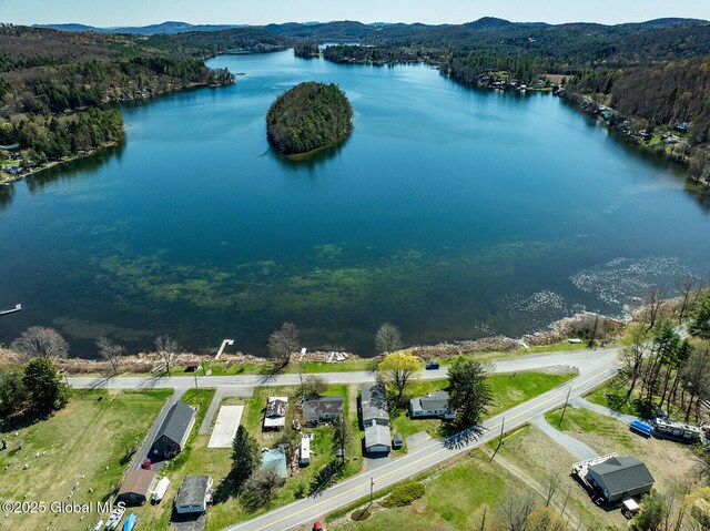 drone / aerial view with a water and mountain view and a forest view