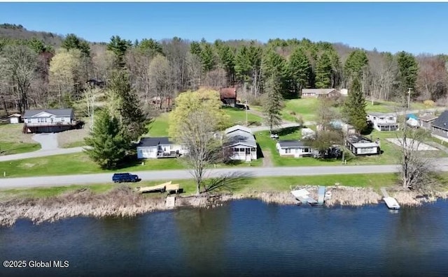 bird's eye view featuring a water view and a wooded view