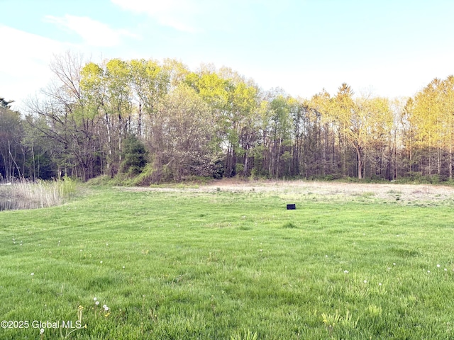 11 Mcdermott Rd, Mechanicville, NY 12118 - view of grassy yard