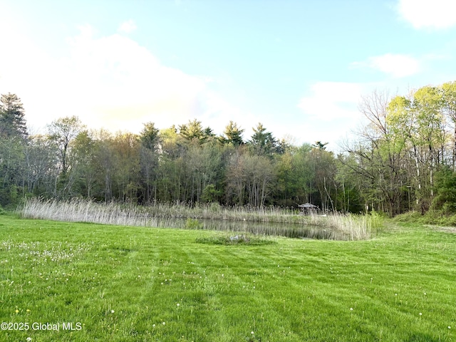 11 Mcdermott Rd, Mechanicville, NY 12118 - view of yard with a water view and a view of trees