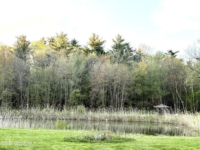 11 Mcdermott Rd, Mechanicville, NY 12118 - view of undeveloped land featuring a nearby body of water
