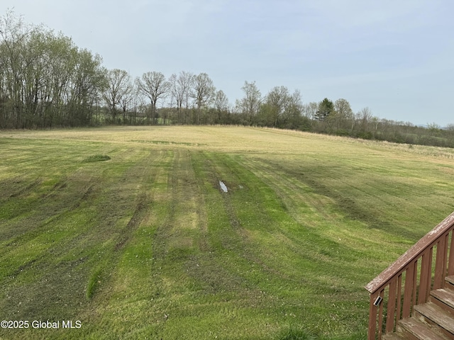 70 Dick Lynch Rd, Stillwater, NY 12170 - view of yard