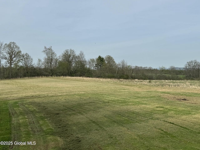 70 Dick Lynch Rd, Stillwater, NY 12170 - view of yard featuring a rural view