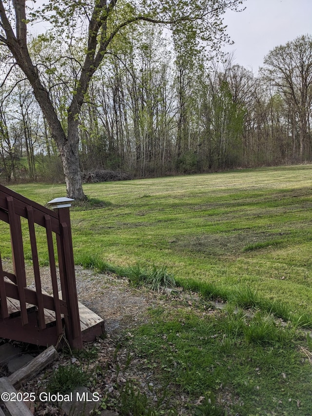 70 Dick Lynch Rd, Stillwater, NY 12170 - view of yard