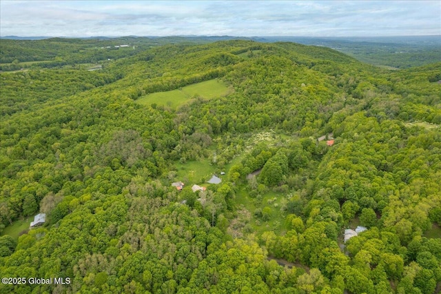 291-294 Gilchrist Hill Rd, Hartford, NY 12838 - bird's eye view of a forest