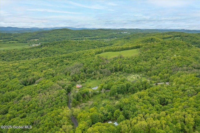 291-294 Gilchrist Hill Rd, Hartford, NY 12838 - drone / aerial view of a heavily wooded area and mountains