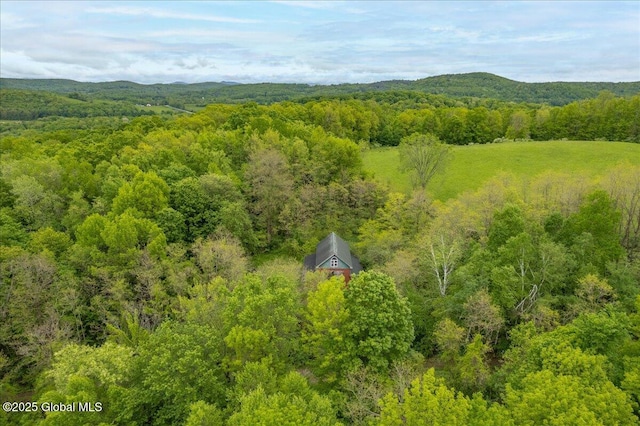 291-294 Gilchrist Hill Rd, Hartford, NY 12838 - aerial view of a heavily wooded area