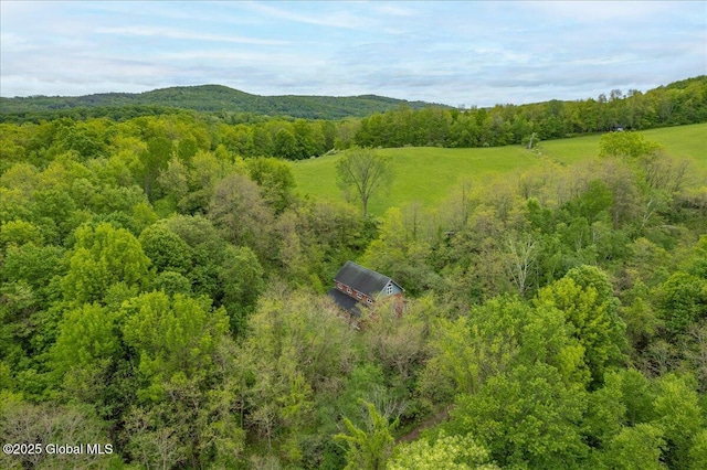 291-294 Gilchrist Hill Rd, Hartford, NY 12838 - mountain view with a forest