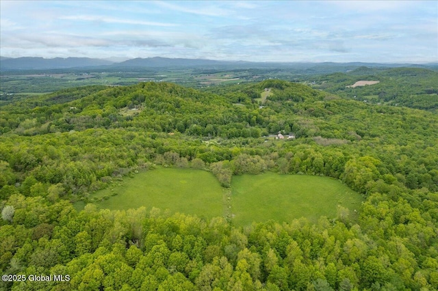 291-294 Gilchrist Hill Rd, Hartford, NY 12838 - drone / aerial view of a forest and mountains