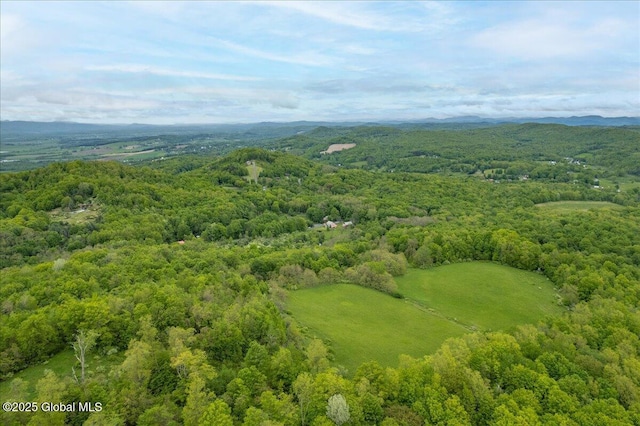 291-294 Gilchrist Hill Rd, Hartford, NY 12838 - aerial view of a heavily wooded area