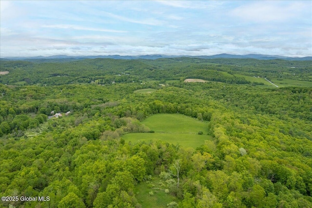 291-294 Gilchrist Hill Rd, Hartford, NY 12838 - drone / aerial view of a heavily wooded area and mountains
