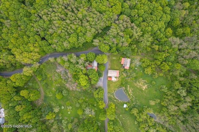 291-294 Gilchrist Hill Rd, Hartford, NY 12838 - aerial overview of property's location