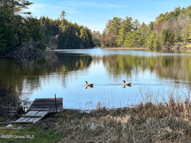 11 Mill St, Chester, NY 12817 - dock area featuring a water view and a view of trees