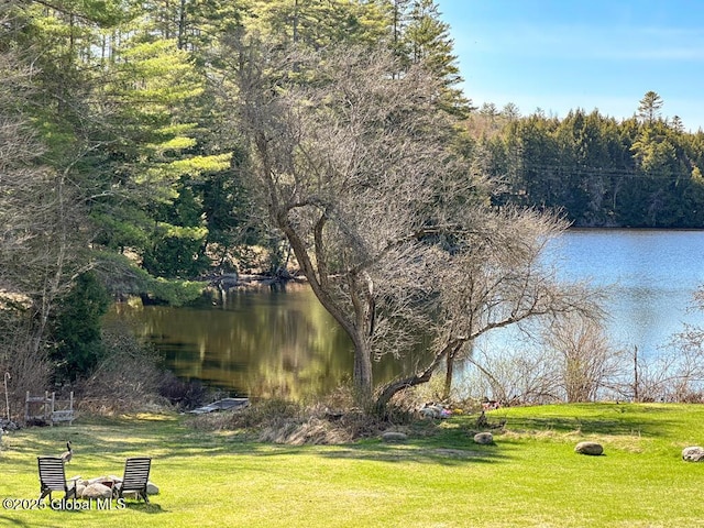11 Mill St, Chester, NY 12817 - water view with a forest view