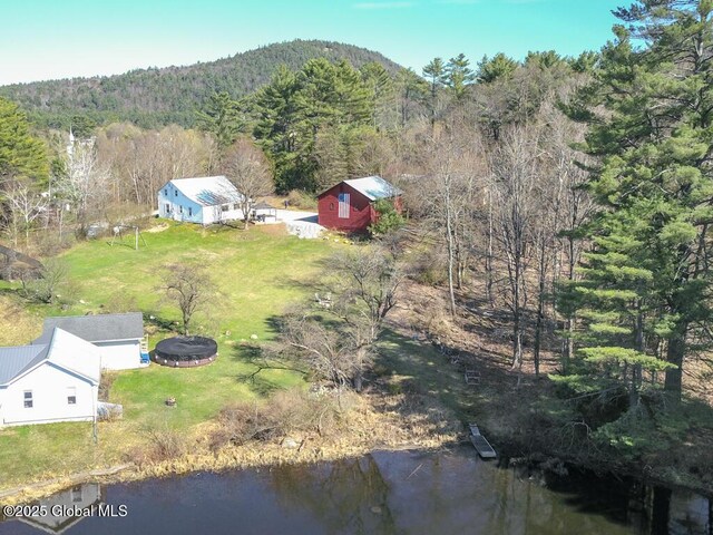 11 Mill St, Chester, NY 12817 - birds eye view of property with a wooded view and a water and mountain view