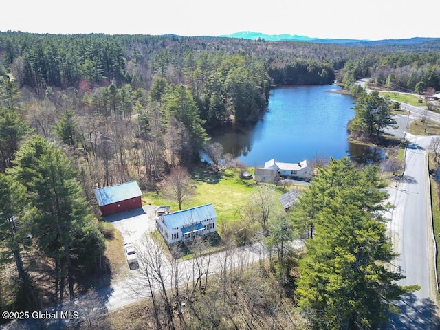 11 Mill St, Chester, NY 12817 - aerial view with a water view and a wooded view
