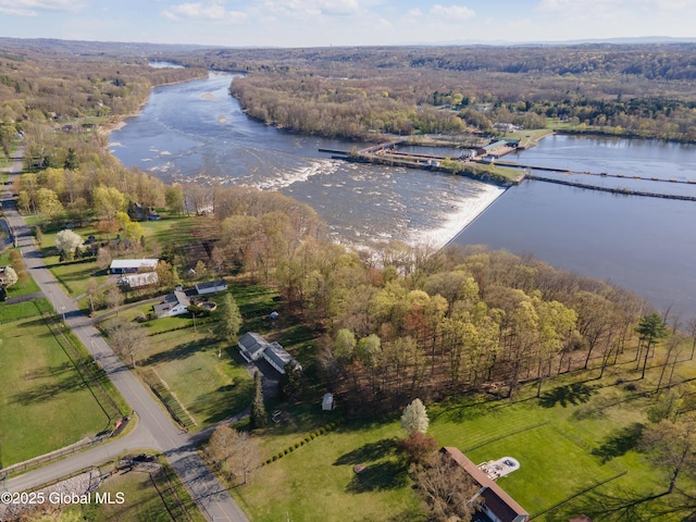 drone / aerial view with a water view and a view of trees