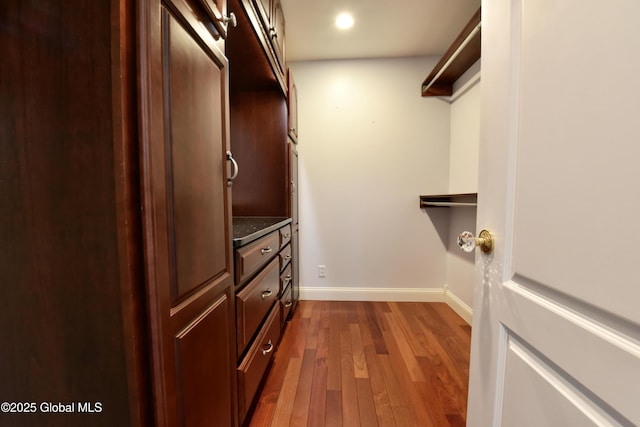 spacious closet featuring dark wood-style flooring