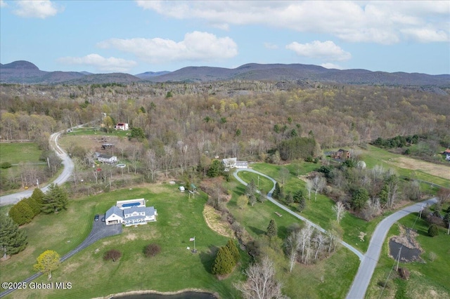 drone / aerial view with a view of trees and a mountain view