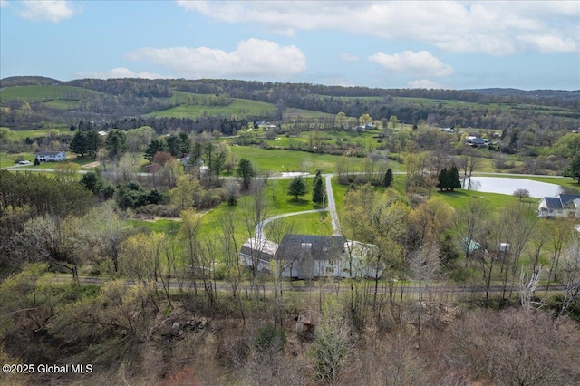 birds eye view of property with a water view and a rural view