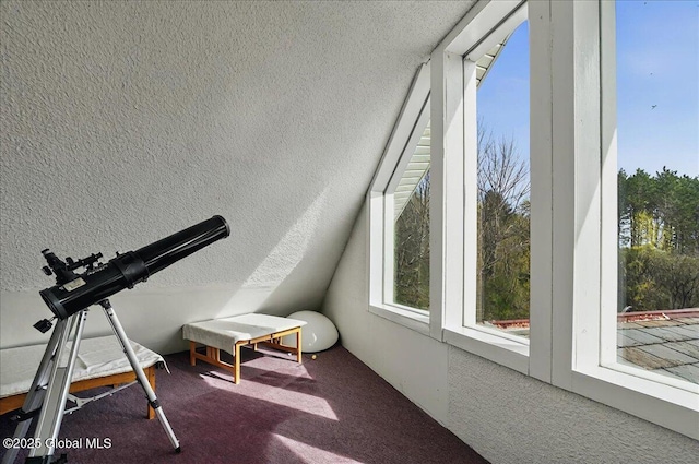 exercise room with carpet flooring and vaulted ceiling